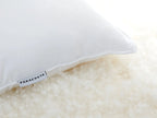 Down Pillow